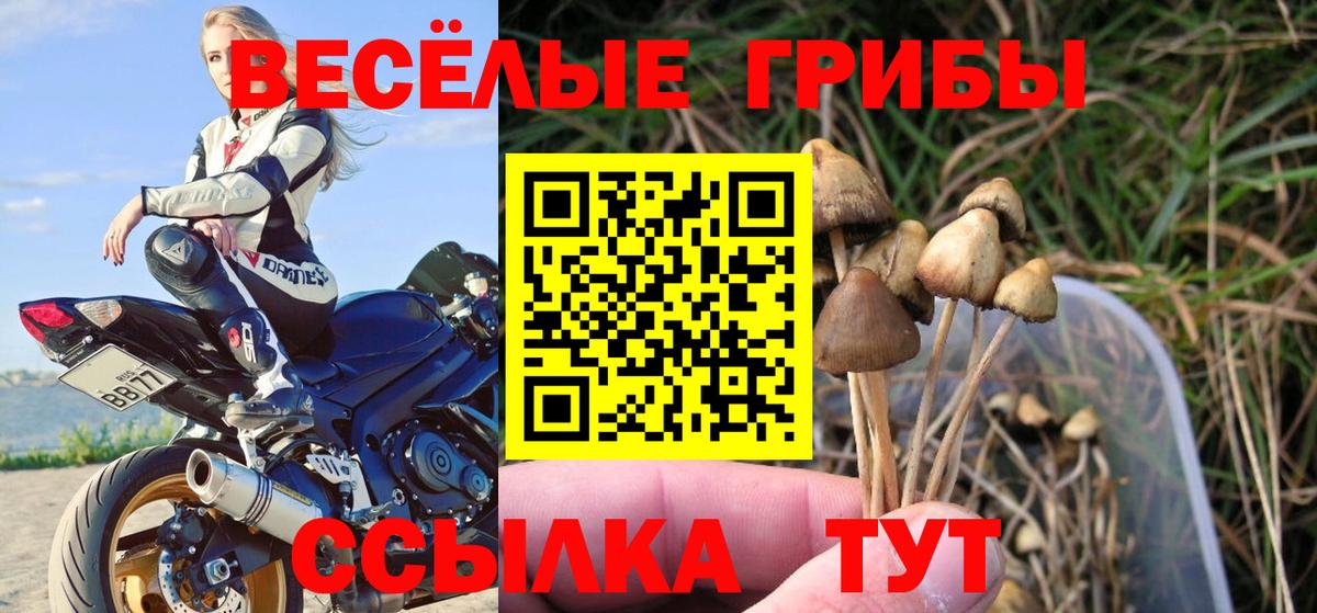 Псилоцибиновые грибы мухоморы Новочеркасск
