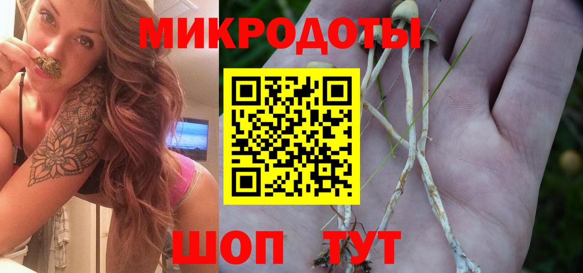 Псилоцибиновые грибы мицелий  Псилоцибиновые грибы Cubensis  Новочеркасск  Вход с VPN 